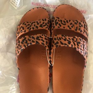 Freedom Moses slides